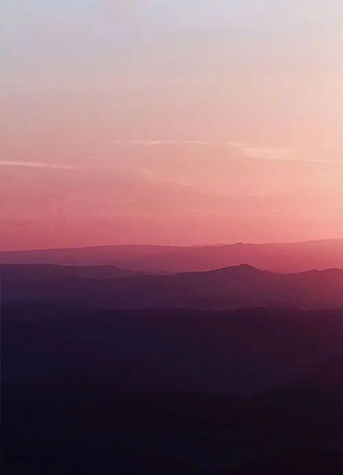 Photography in action